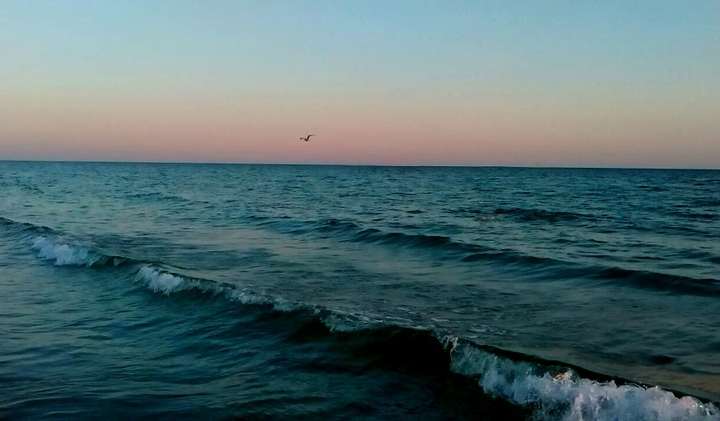 Sea