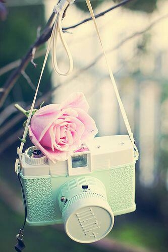 flower camera