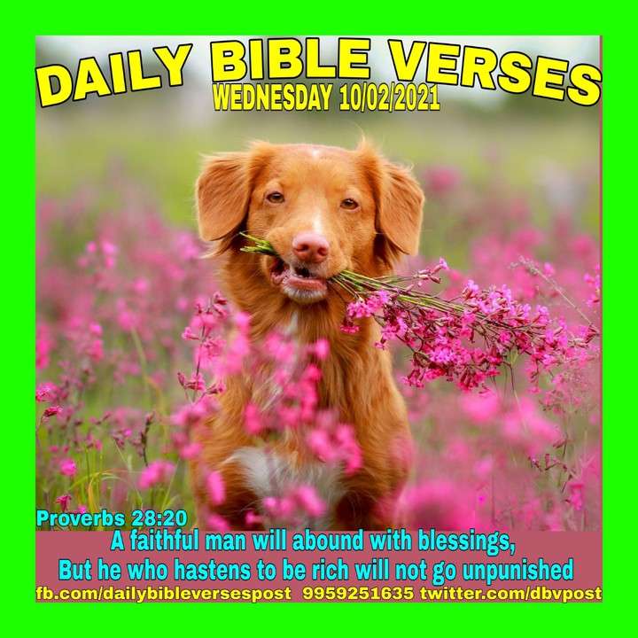 Praise The Lord. Amen ?