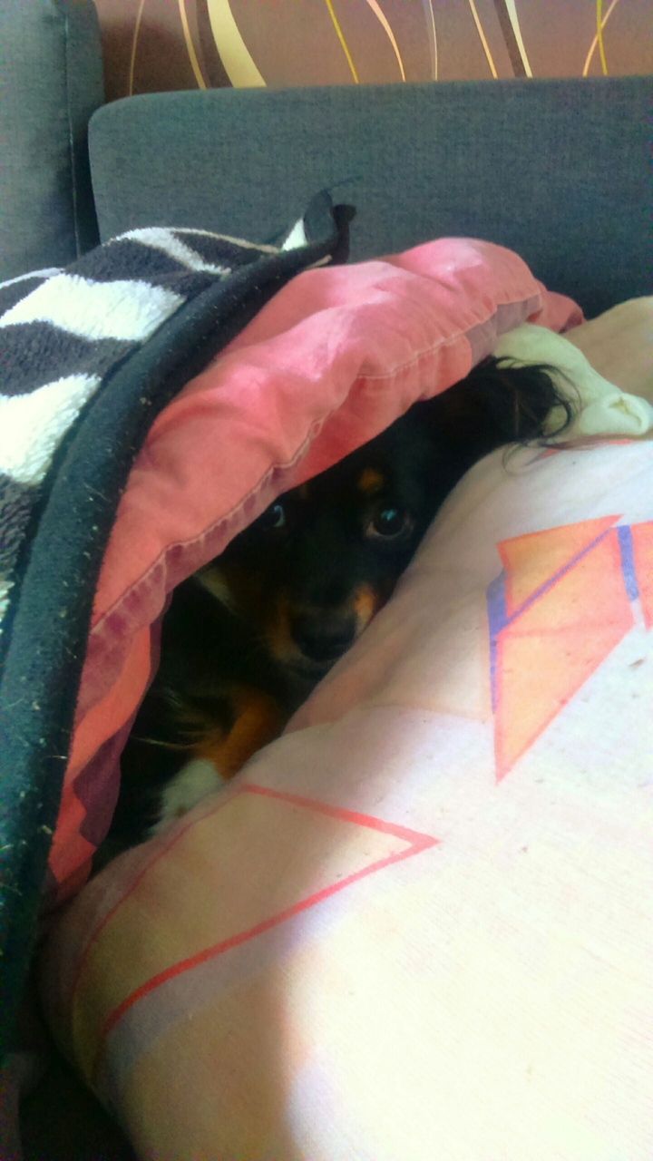 Lola