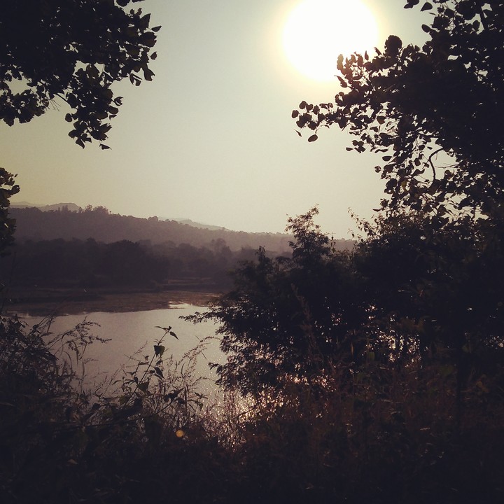 Afternoon Sun