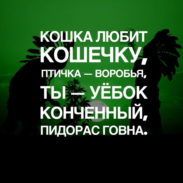 text