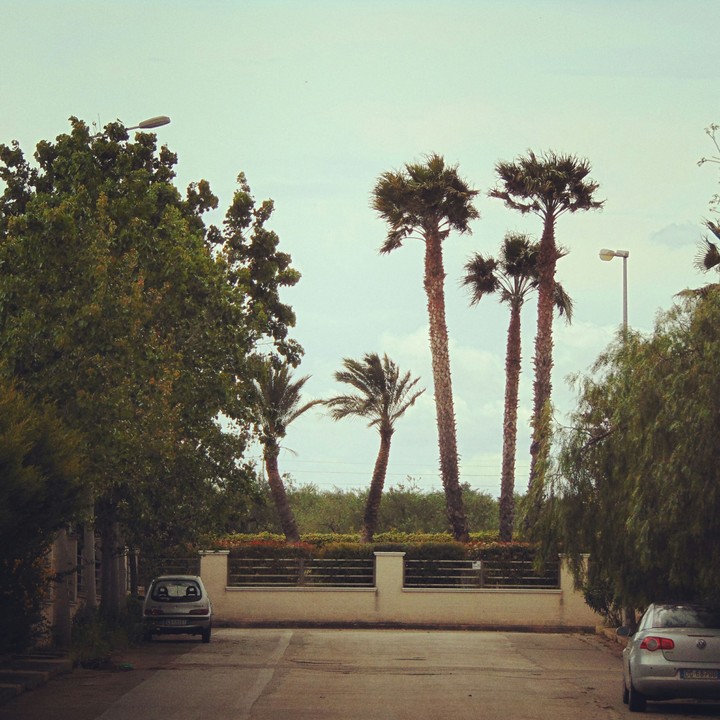 Looks Like Miami