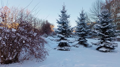 twig, larch háttérképek