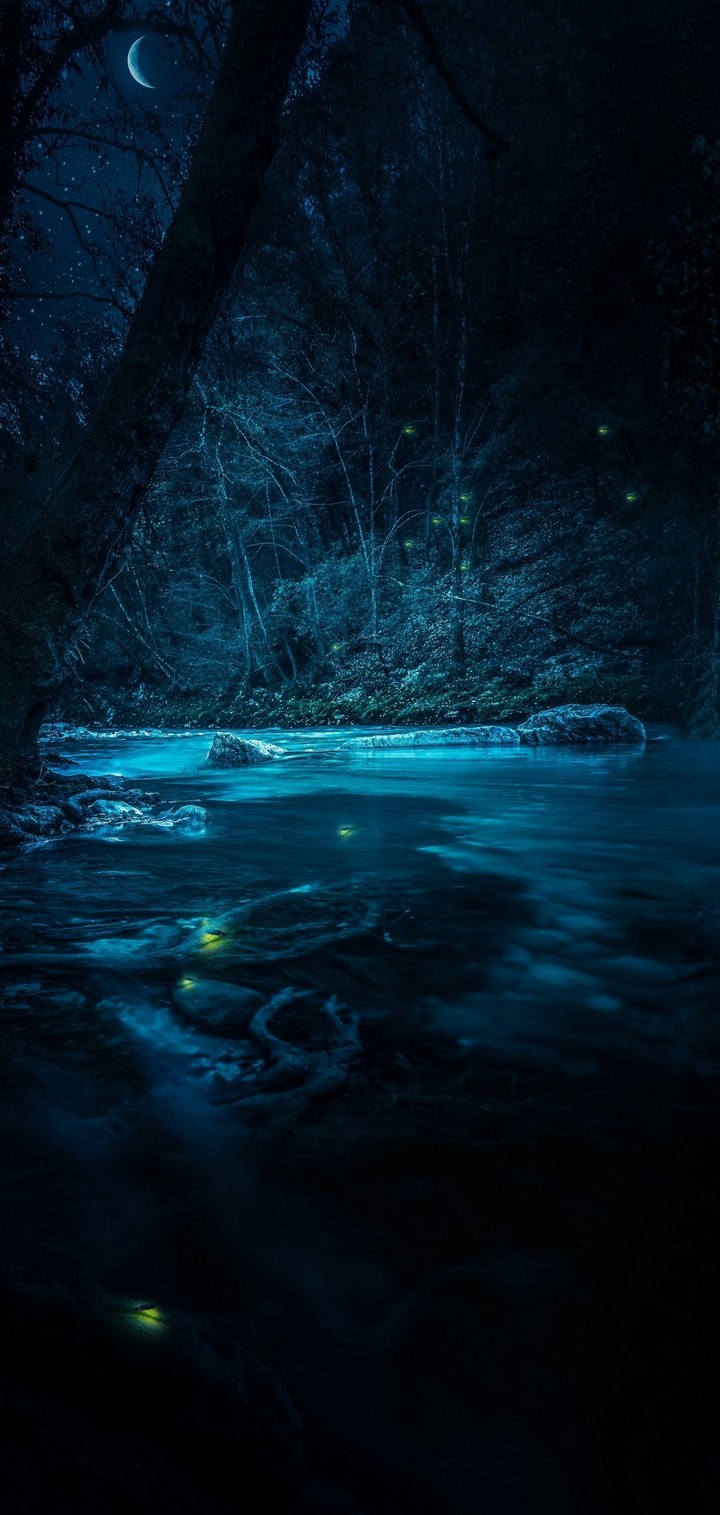 Magic night