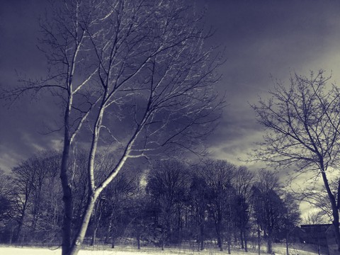 Nature