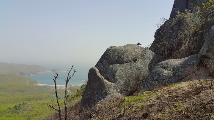 Каменная лягушка