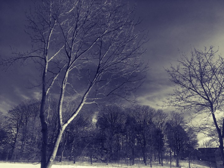 Nature 