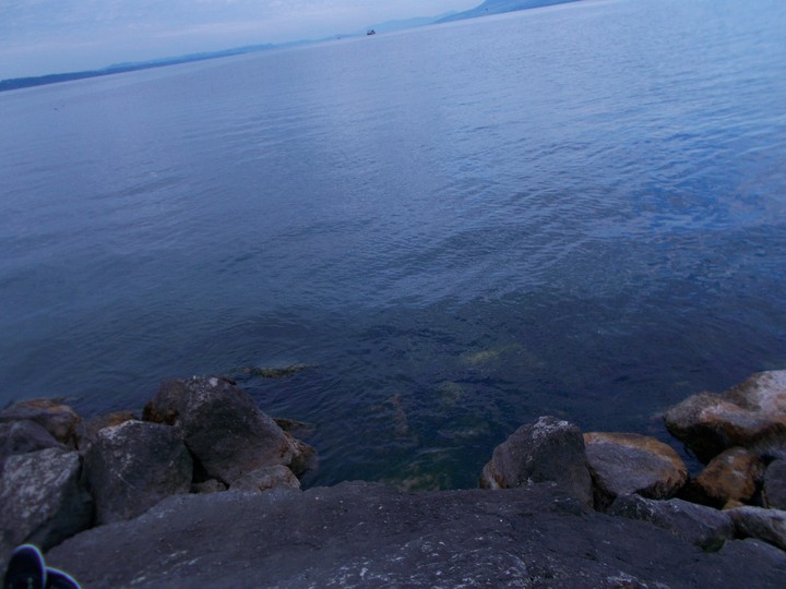 Water