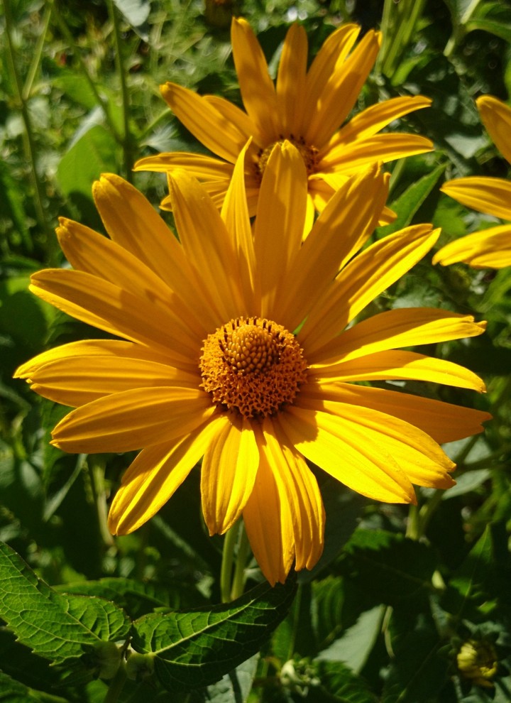 More yellow