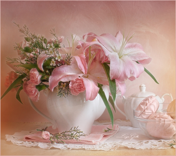 lilium