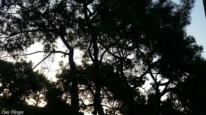 Waiting for the moon to rise