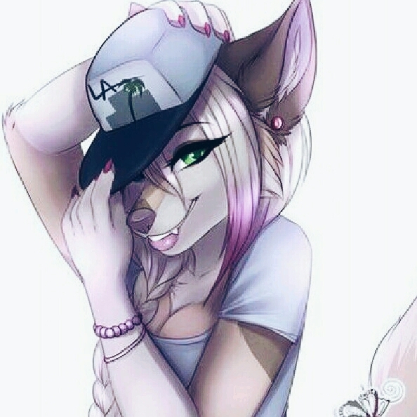 Cool cat