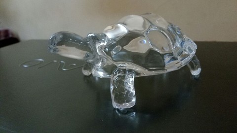 Glass Tortoise
