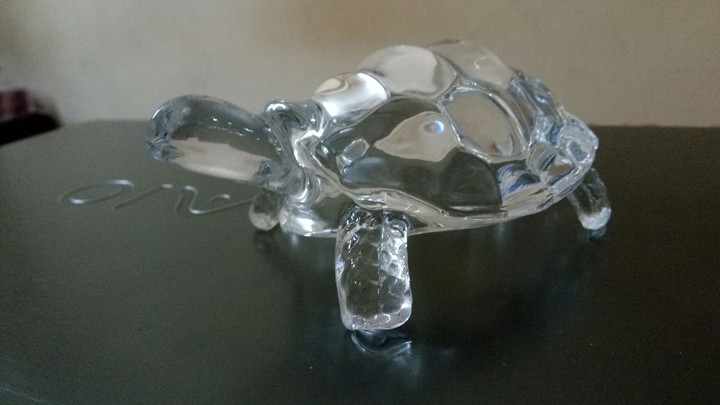 Glass Tortoise