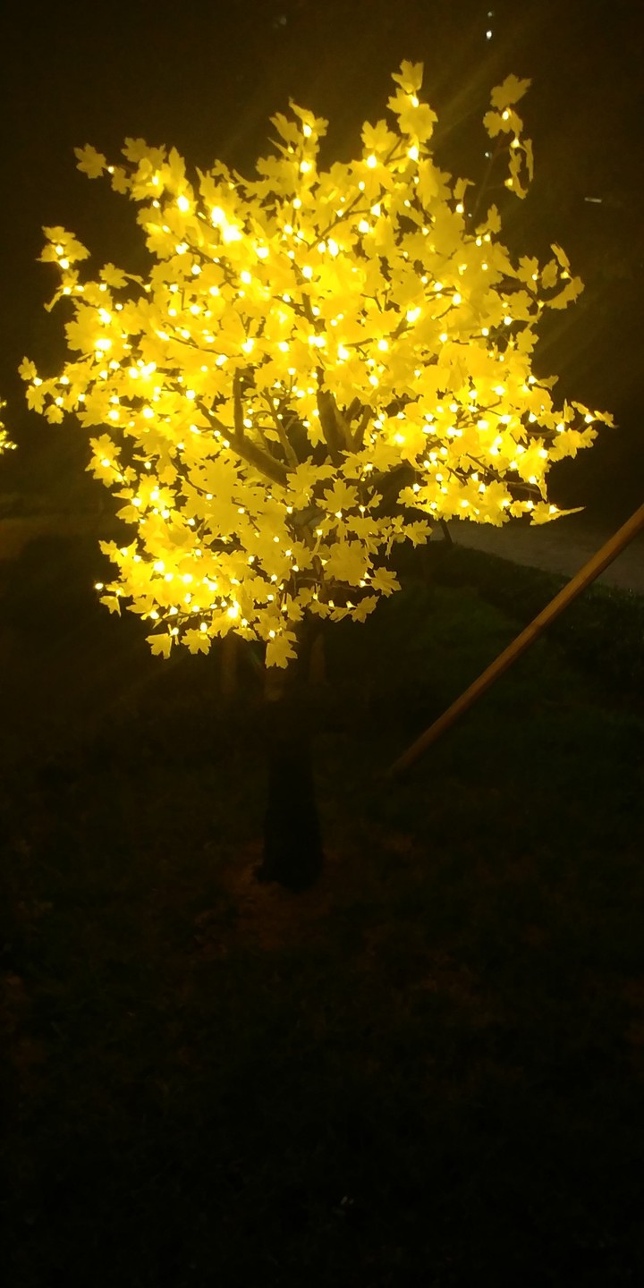 golden tree