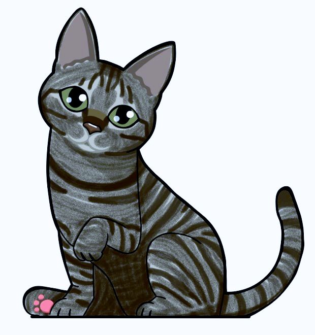 cat illustration