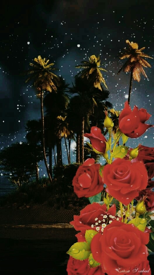 BEST ROSE