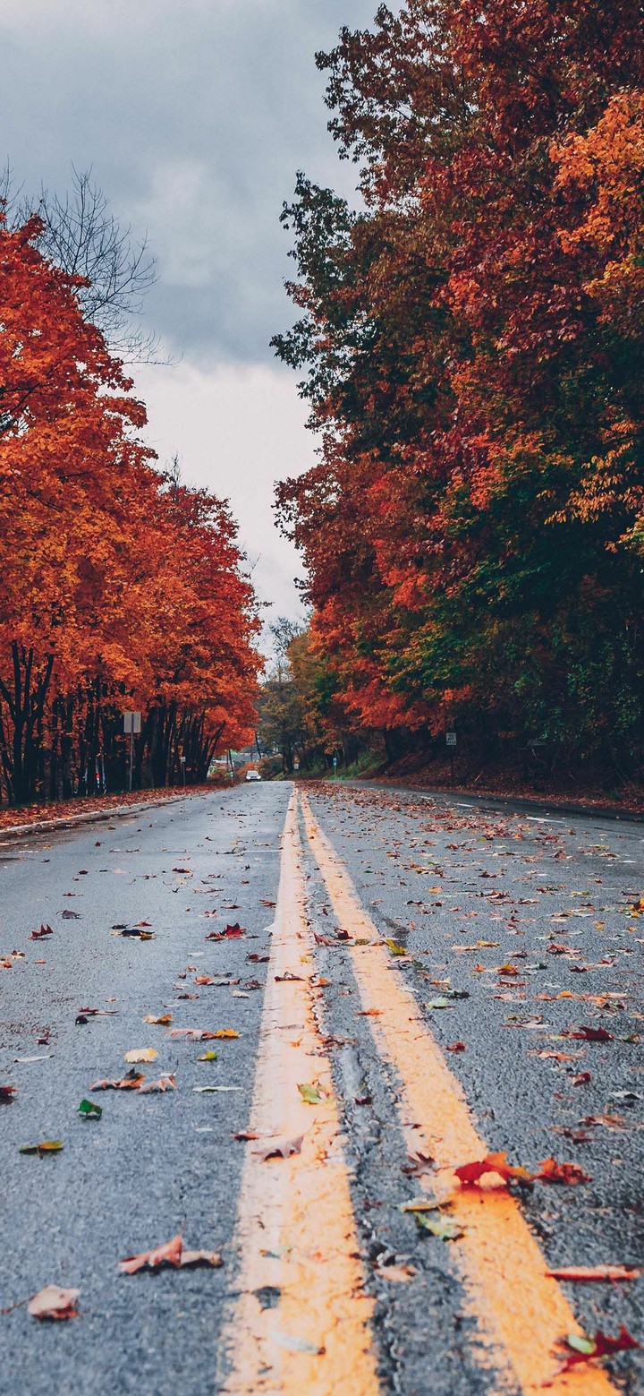 fall backround