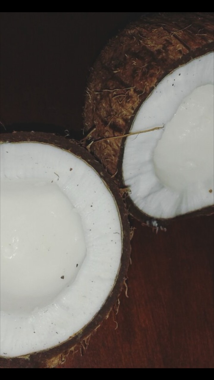 Cocco