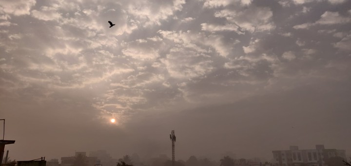 beautiful morning ?