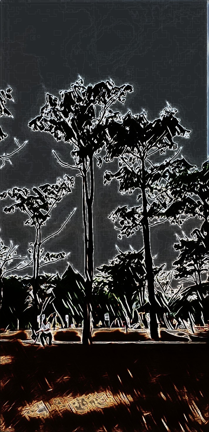 Landscape