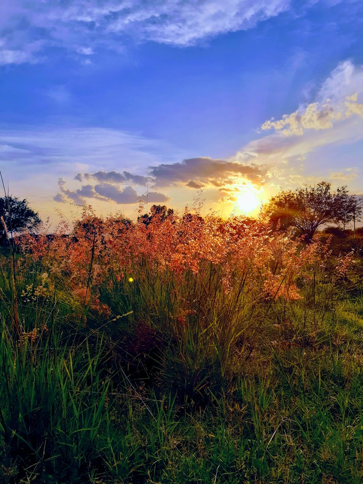 in the afternoon...