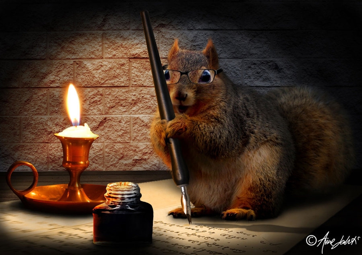 Professor Squirrel