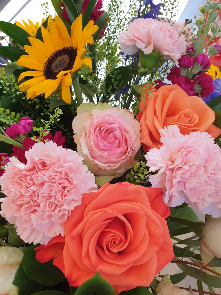 sunny flowers
