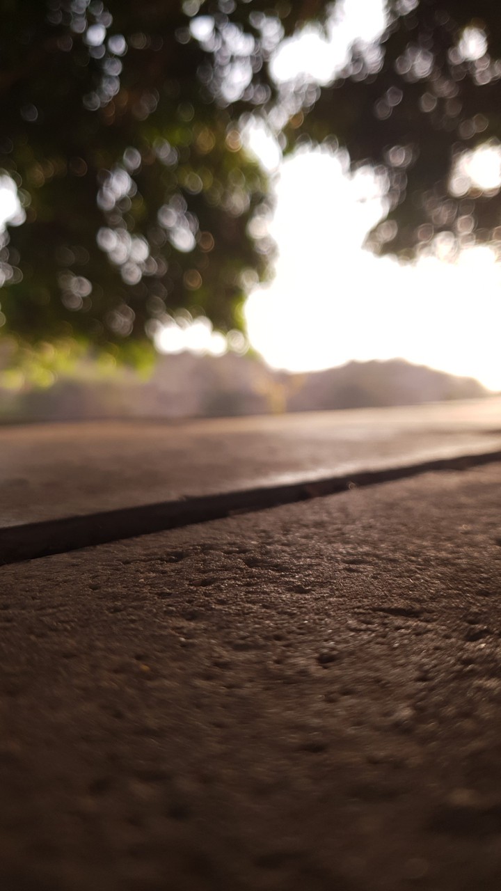 Sunset landscape