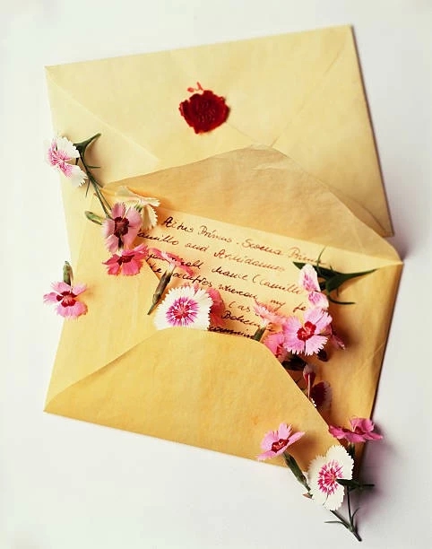 old letters & pink dianthus
