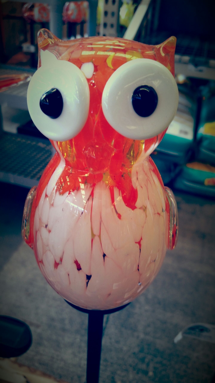 Gardneing Owl