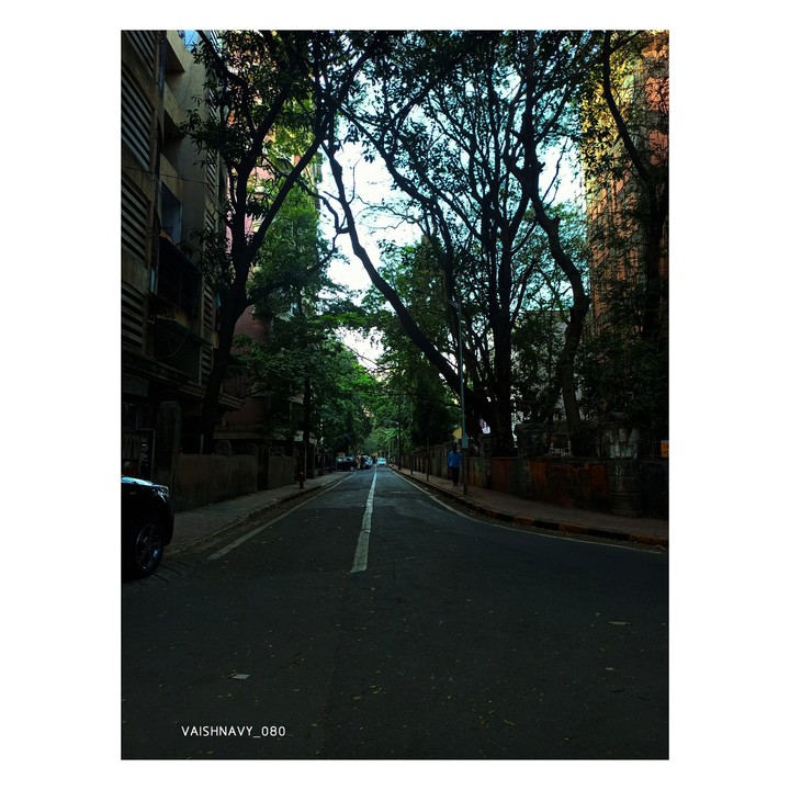 Lane that calls you and your thoughts too, to wander freely.