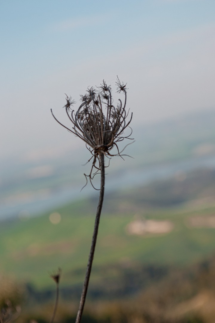 nature