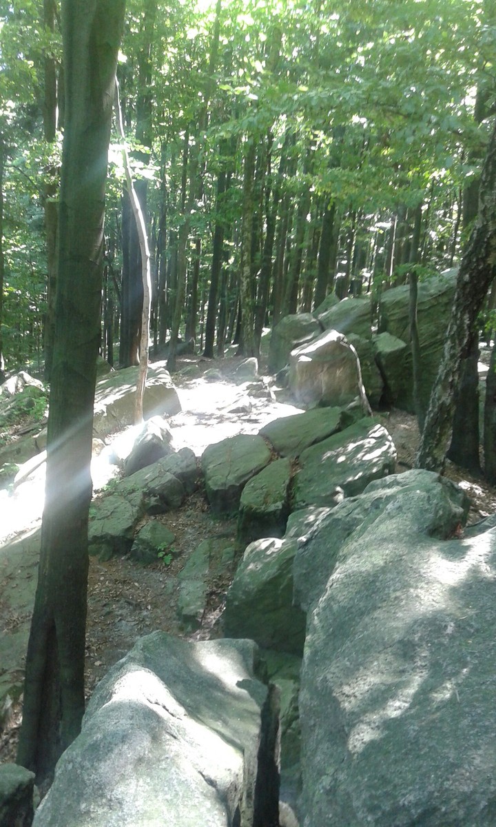 Bukowa Mountain