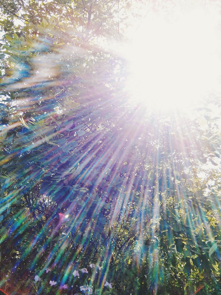 sunlight