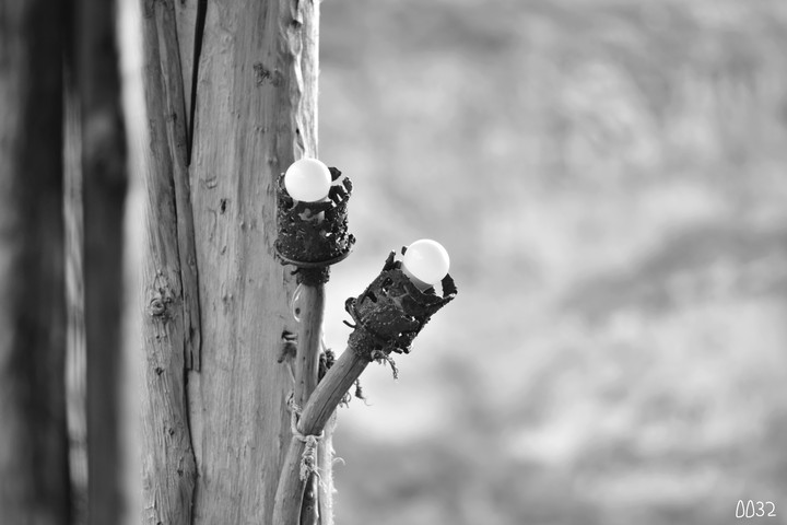 black and white