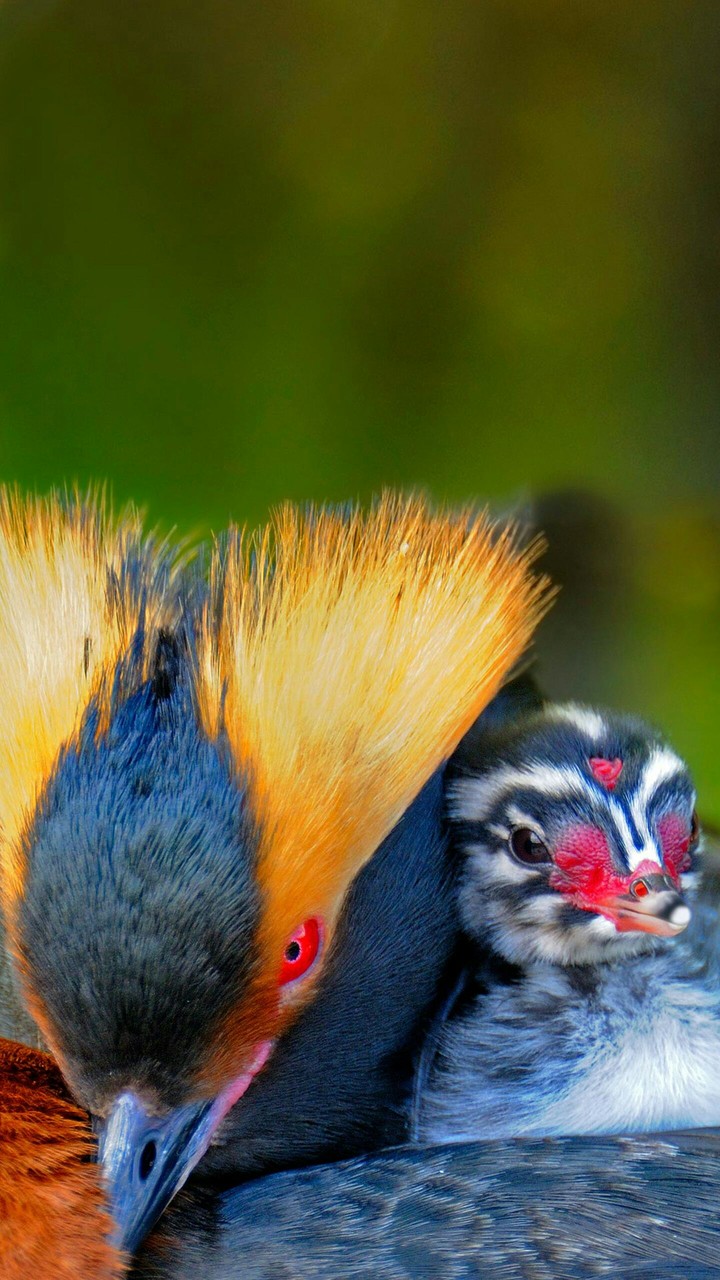 Nature