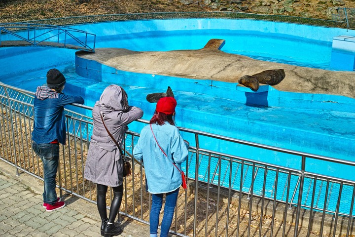 마주보기
