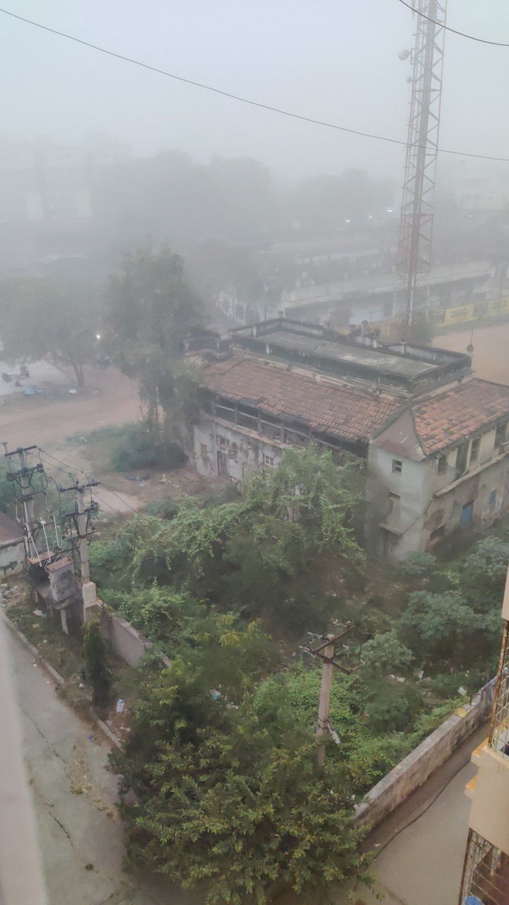 morning fog