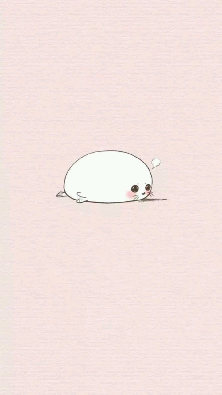 물개는 심심해