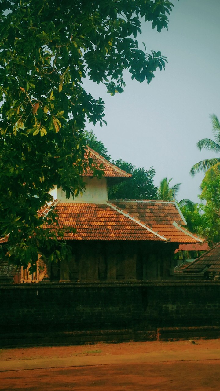 Home