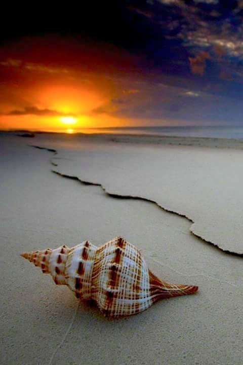 the sun set