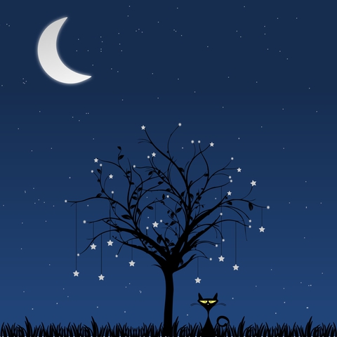moon