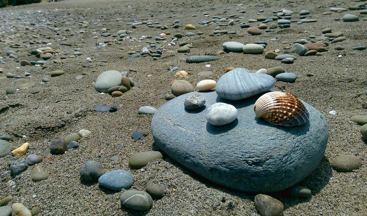 sea shell and stones <3