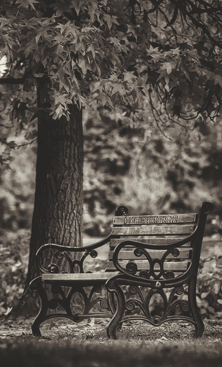 lovely place to sit....