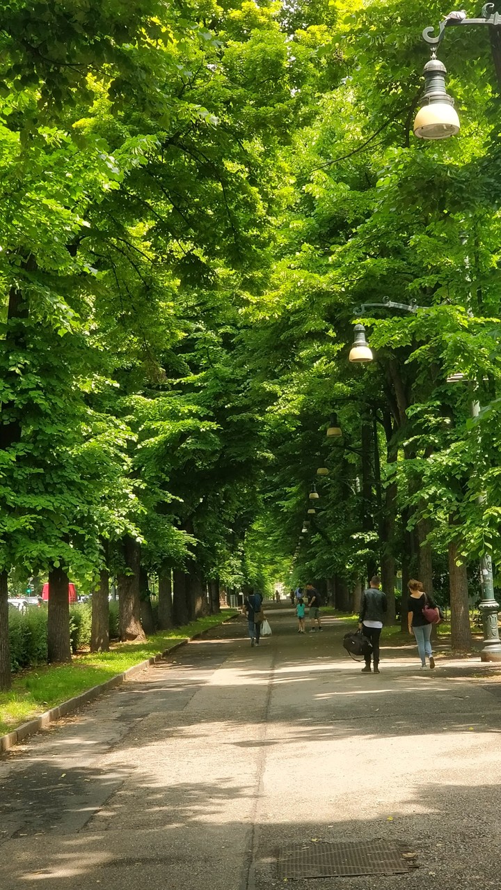 A walk in a Park
