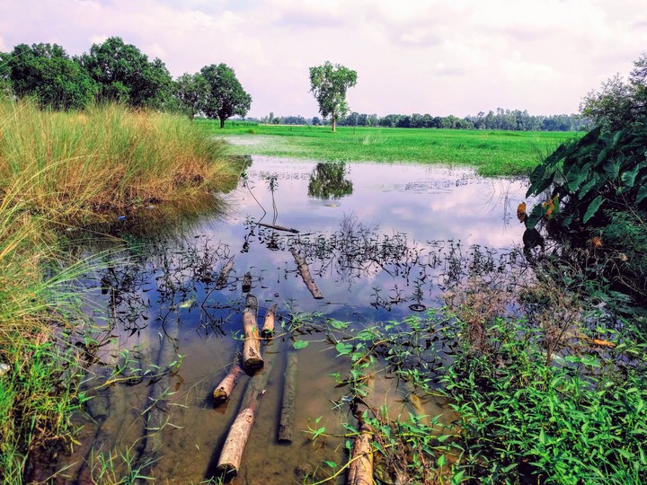 Landscape