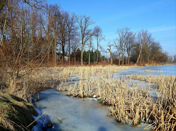 The end of winter