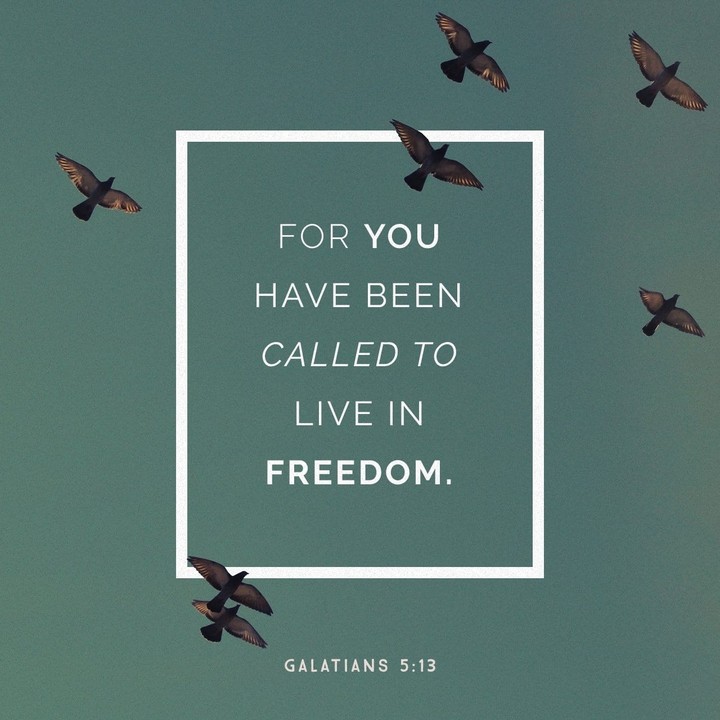 freedom
